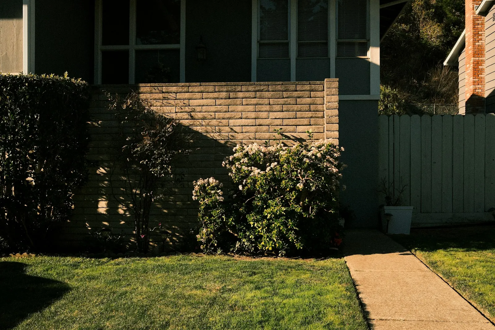 Temperate green landscape — property-care inspiration